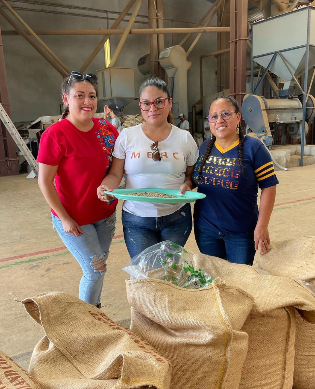 WOMEN'S GROUP BELLA VISTA - Chiapas, Mexico (washed process) - Mother Tongue Coffee